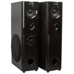 ELTRONIC 20-82 Home Sound черный - колонка 08