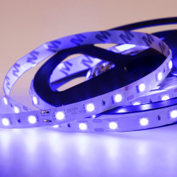 LAMPER (141-463) LED лента 5м открытая, 10 мм, IP23, SMD 5050, 60 LED/m, 12 V, цвет свечения синий LAMPER