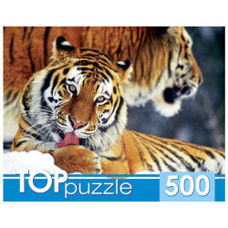 TOPPUZZLE ПАЗЛЫ 500 элементов. КБТП500-6797 Два тигра ПП-00099002