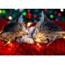РЫЖИЙ КОТ Холст с красками 17x22 см по номерам в коробке (14 цв.) Два спящих котёнка ХК-6381 ПП-00208564