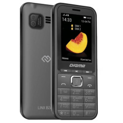 DIGMA Linx B241 32Mb Gray (LT2073PM)